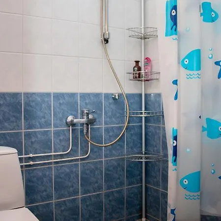 Joutjarvi דירה *